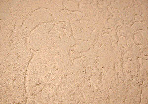 M&uuml;nchener Rauputz kreisf&ouml;rmig gerieben aufgetragen